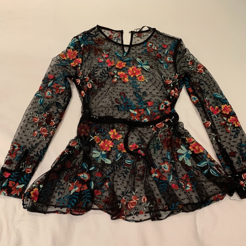 Zara Sheer Embroidered Peplum Blouse